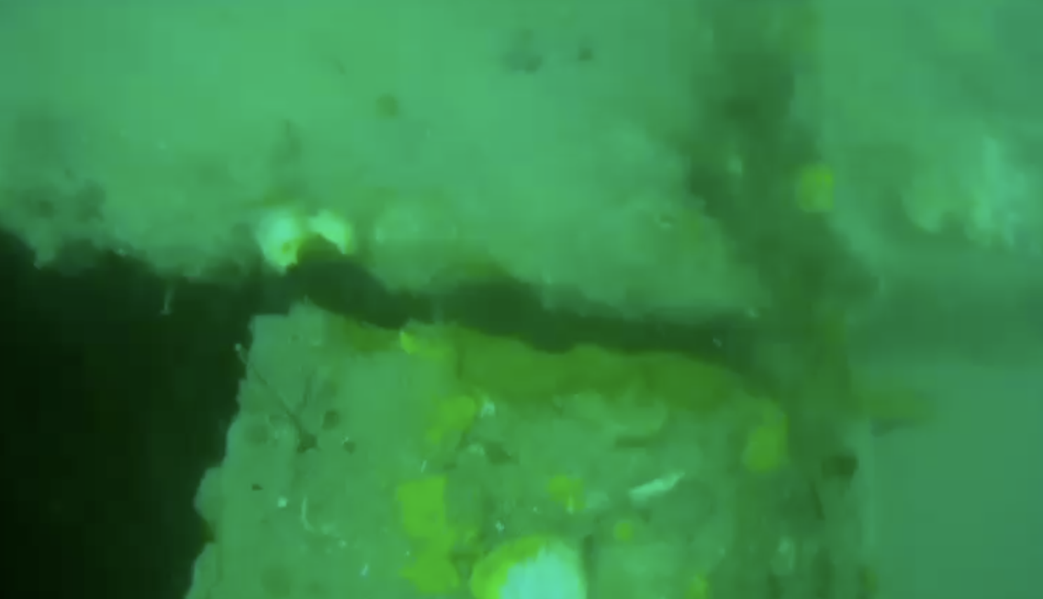 Video 4