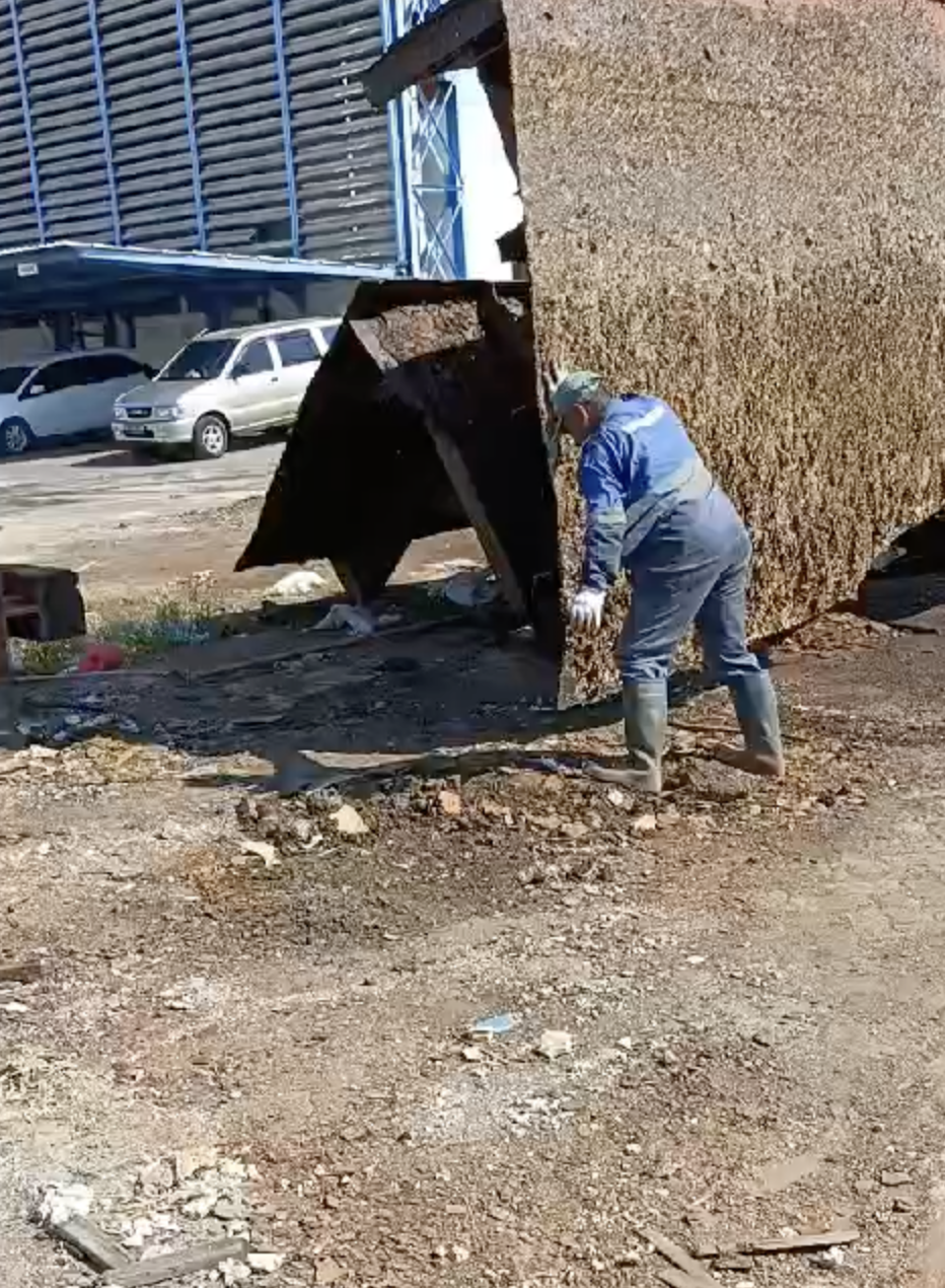 Video 16